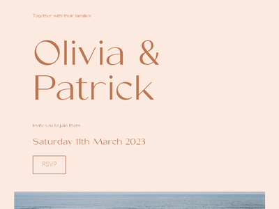 Seasonal Persimmon wedding website design template